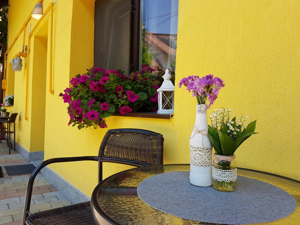 House Apartment Minerilor Cluj-Napoca Eksteriør bilde