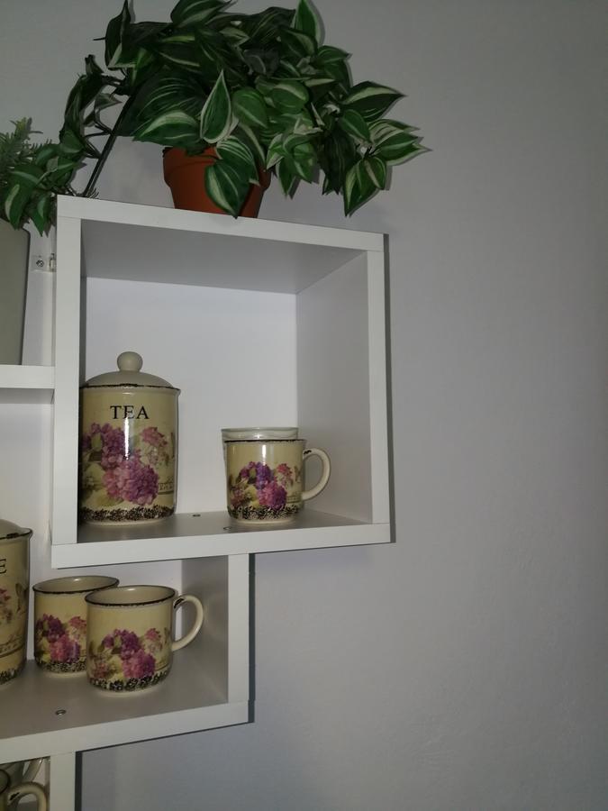 House Apartment Minerilor Cluj-Napoca Eksteriør bilde