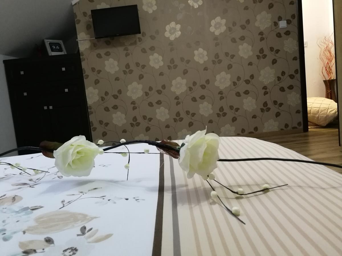 House Apartment Minerilor Cluj-Napoca Eksteriør bilde