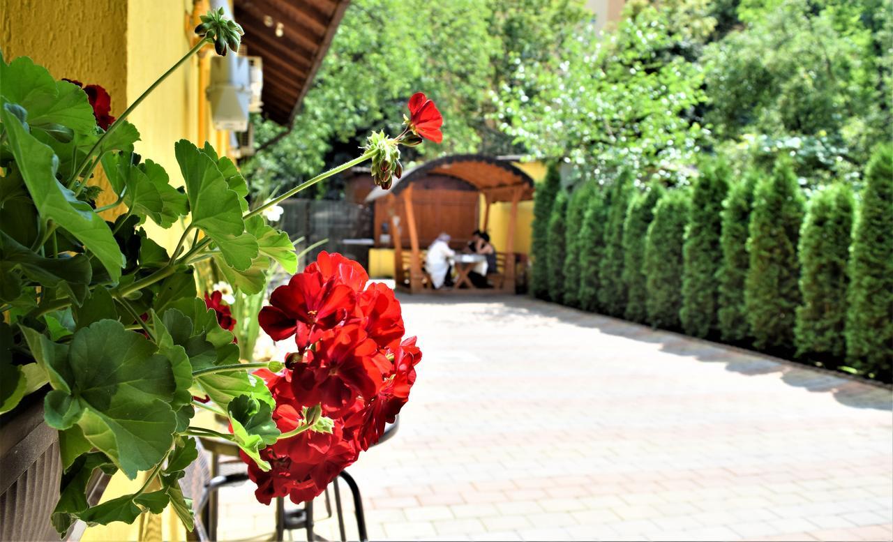House Apartment Minerilor Cluj-Napoca Eksteriør bilde