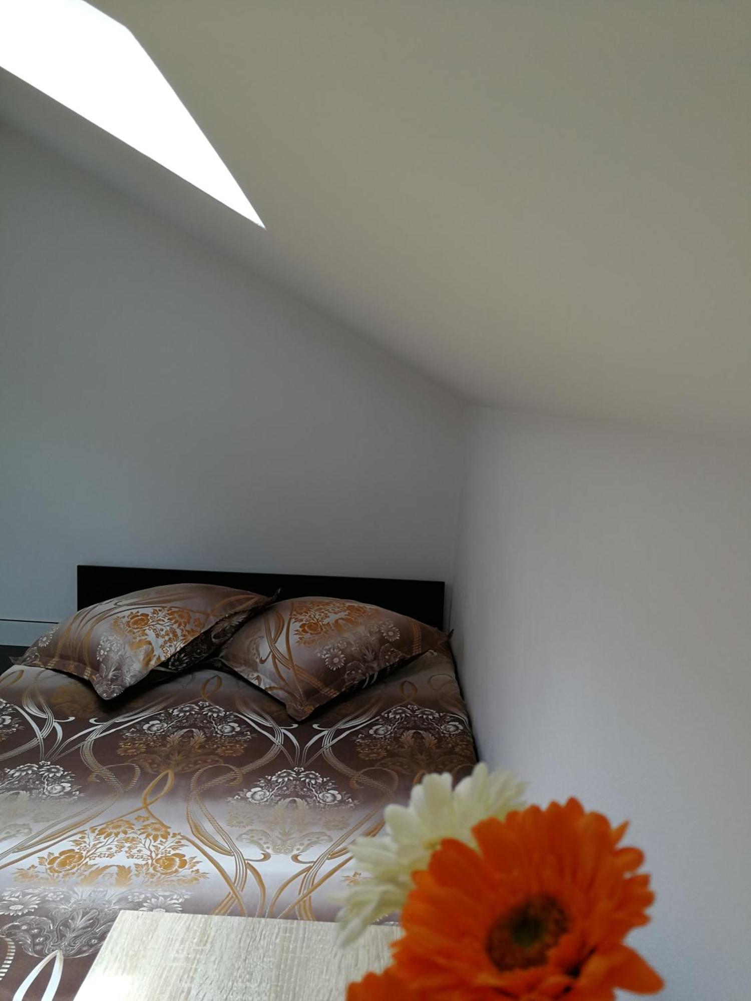 House Apartment Minerilor Cluj-Napoca Eksteriør bilde