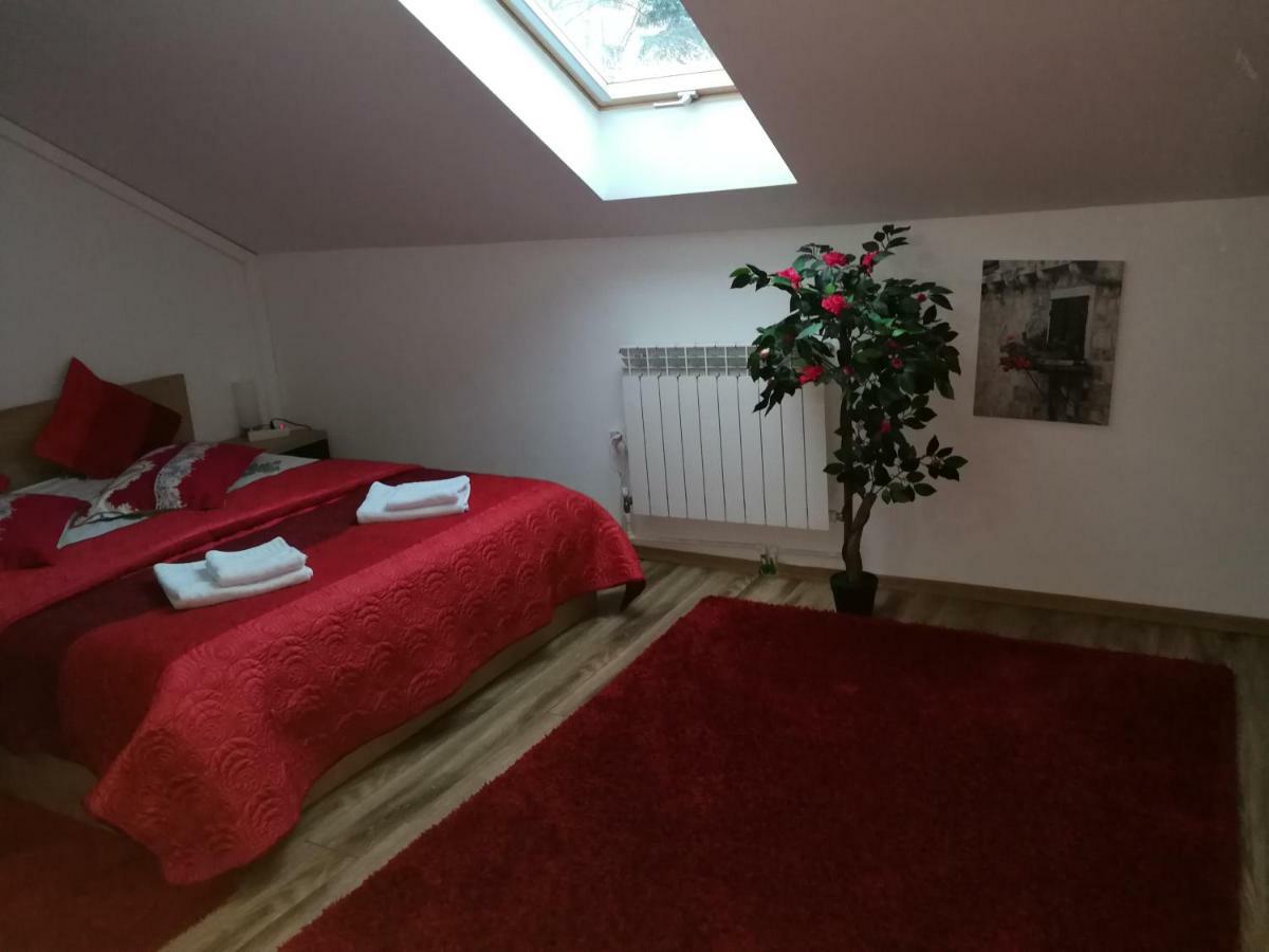 House Apartment Minerilor Cluj-Napoca Eksteriør bilde